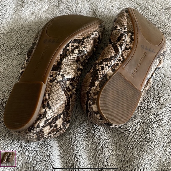 Snakeskin Print Lucky Brand Ballet Flats - Picture 3 of 3